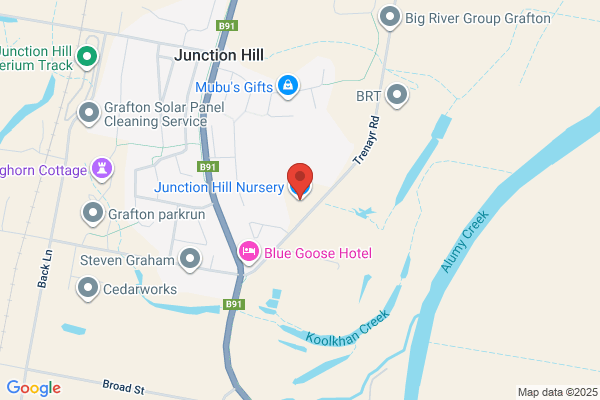 Junction Hill Nursery