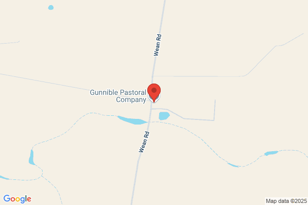 Gundary Pastoral Co