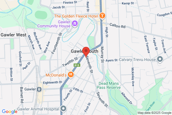 Frank Nesci Homes