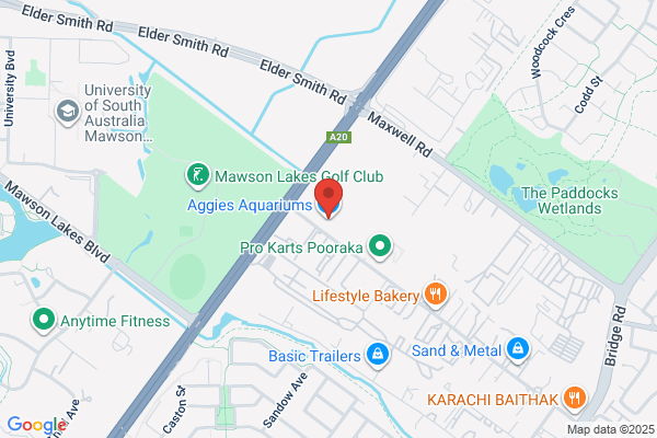 Gawler Aquariums