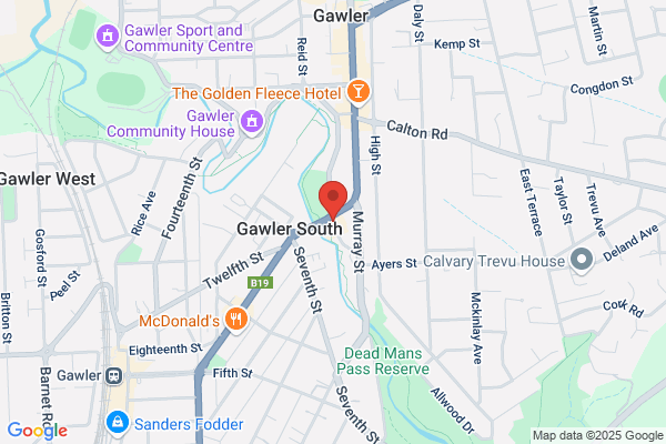 Gawler Mill Nine Dragons Chinese Restaurant