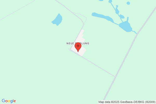 Wild Patch