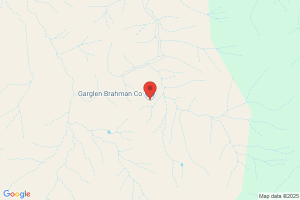 Garglen Brahman Co
