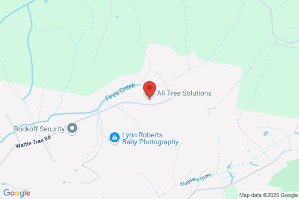 All Tree Solutions