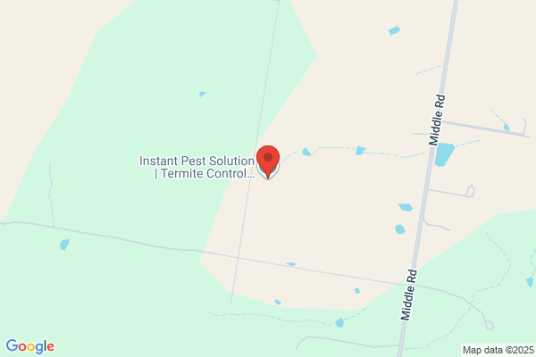 Prevent A Pest - Pest & Termite Inspections Gold Coast, Ipswich, Logan, Brisbane
