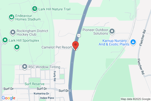 Camelot Pet Resort