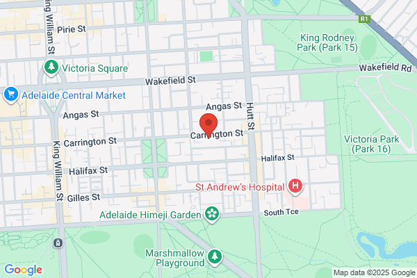 Carrington St Auto Repairs