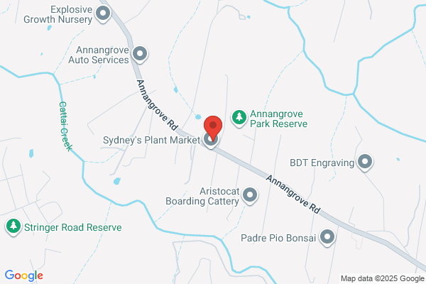 Annangrove 4 W D