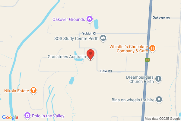 Grasstrees Australia
