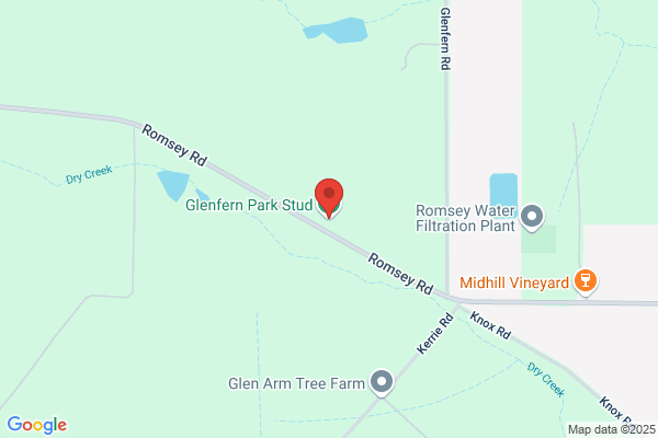 Glenfern Park Stud