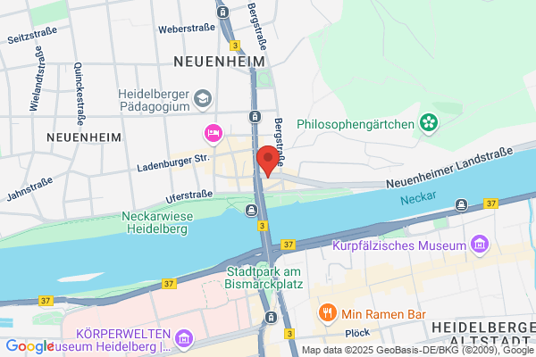 Heidelberg Neuropsychological Group