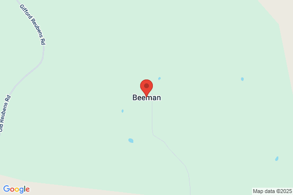 Beeman