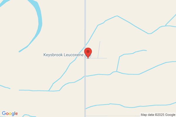 Keysbrook Timbers
