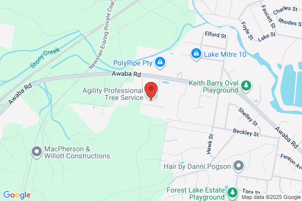 Agility Professional Tree Service Pty Ltd