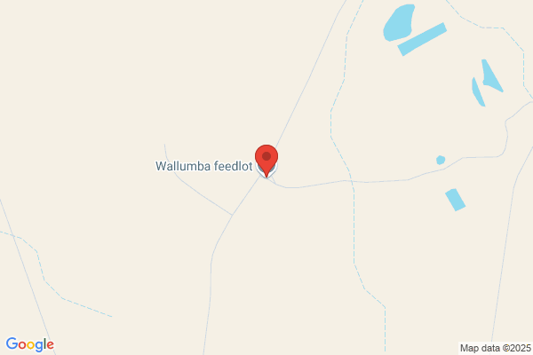 Condamine Livestock & Property