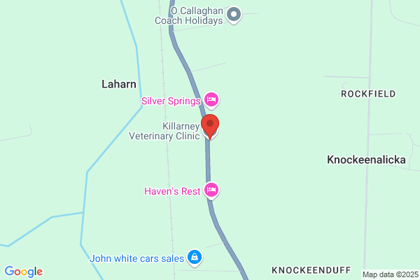 Killarney Veterinary Surgery