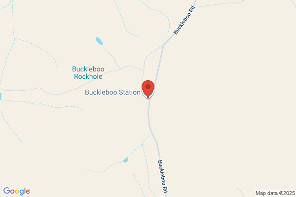 Buckleboo Station