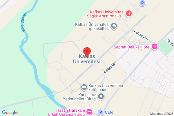 Kafkas