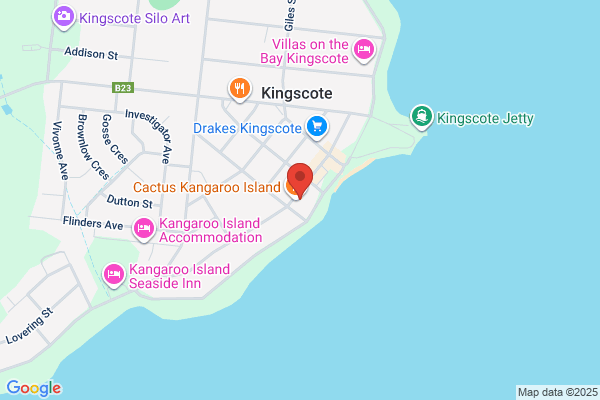 Services Australia Agent