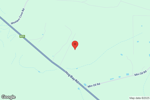 K.I. Kennels
