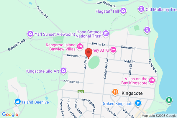 Kingscote Netball Club Inc