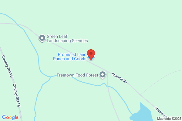 Promised Land Foods
