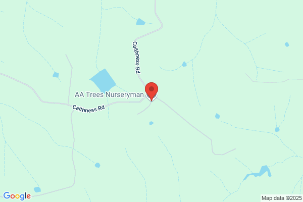 AA Trees Nurseryman