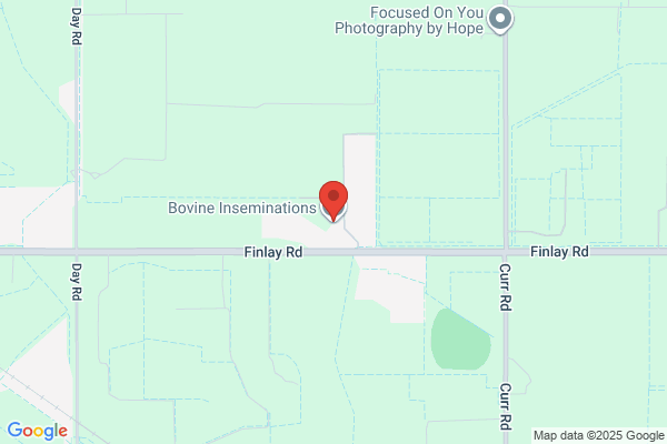 Bovine Inseminations