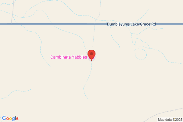 Cambinata Yabbies