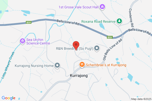 Kurrajong Swim School