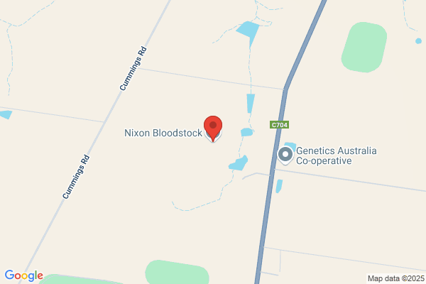 Bajan Bloodstock Services Pty Ltd