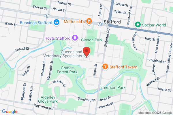 Queensland Veterinary Specialists
