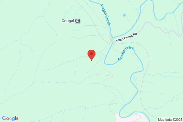 Cougal Park Bed & Breakfast