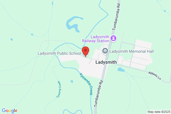 Ladysmith Public School
