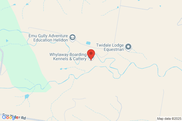 Jaywick Labrador & Boarding Kennels & Cattery