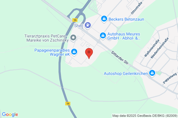 Dreamscape Garden Construction