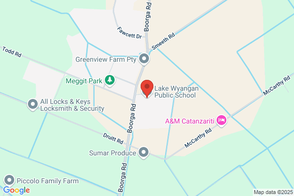 Lake Wyangan Public School