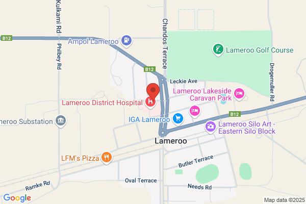bloom hearing specialists Lameroo