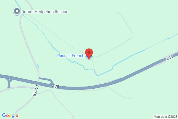 French Russell