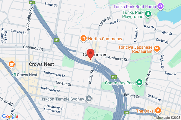 Little Dove Cammeray