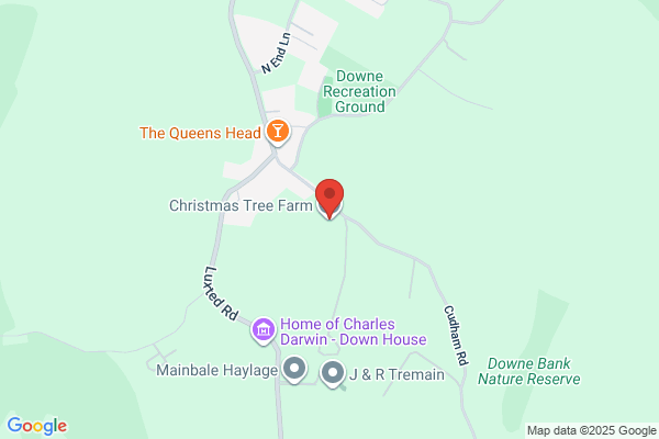 Christmas Tree Farm