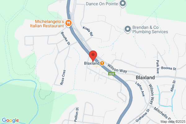 All Flowers Of Blaxland