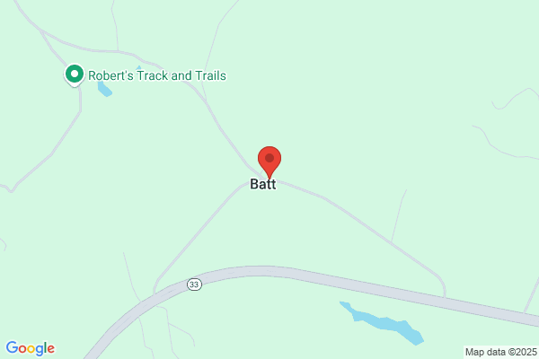 Batt L V & P G Pty Ltd