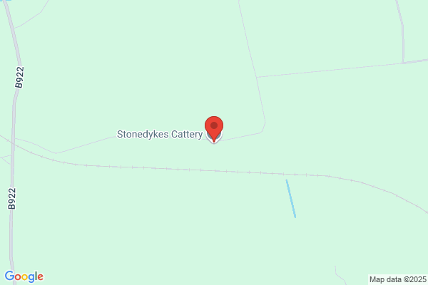 Duqoi Cattery