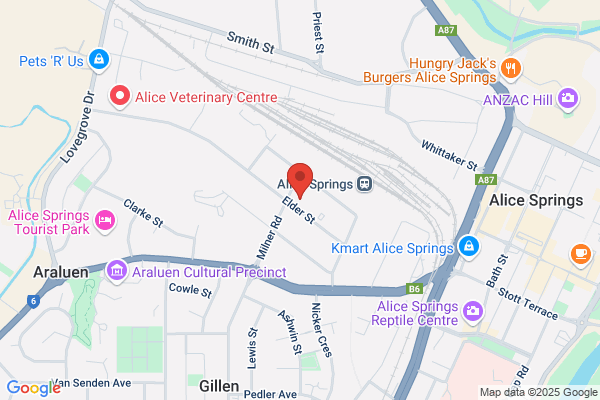 ABS Courier Services