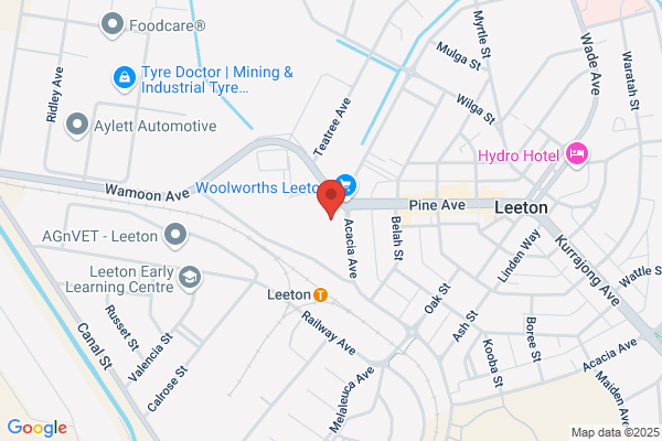 Domino's Pizza Leeton