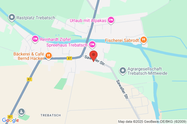 Bal P Dr