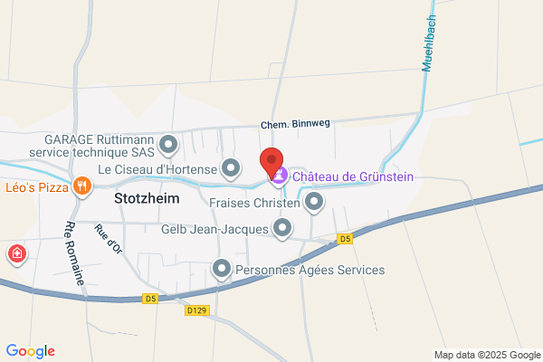 Grunstein Ron Prof