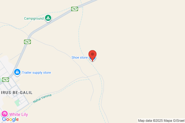 Kinneret