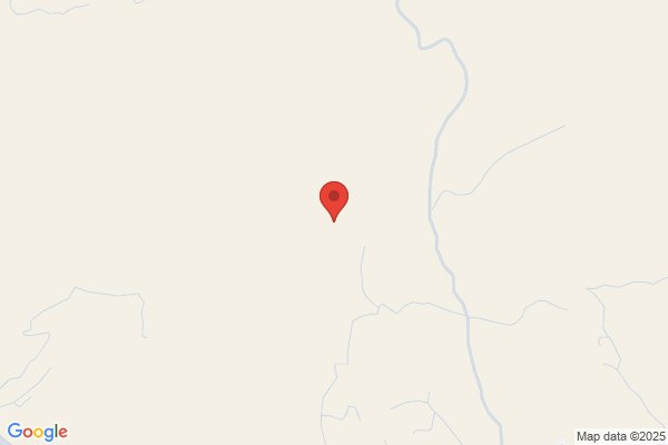 Little White Light Studio